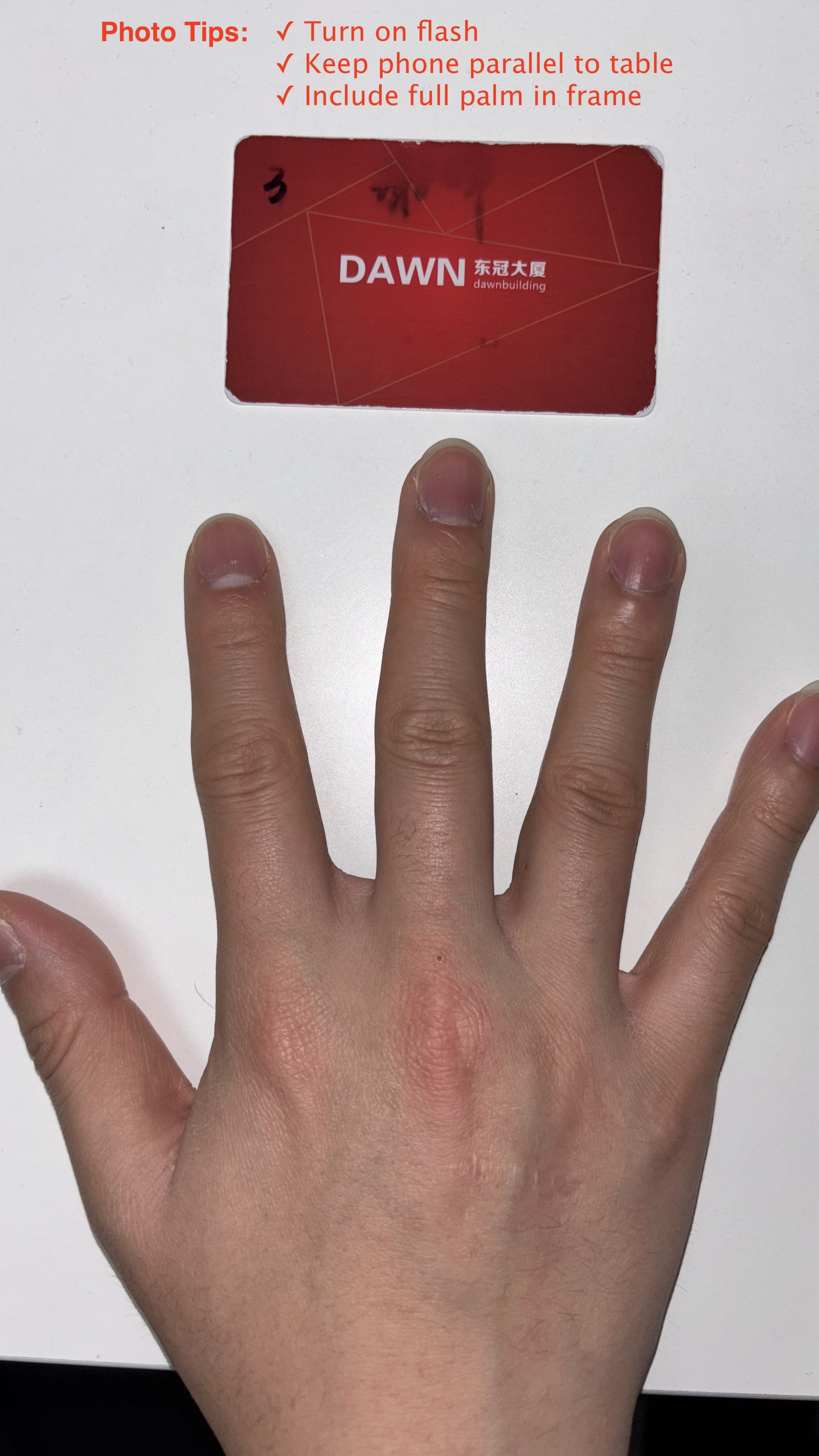 Default sample photo example